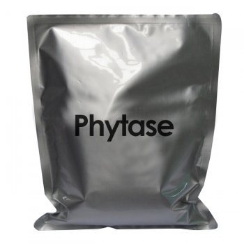 Phytase