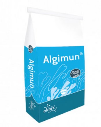 Algimun