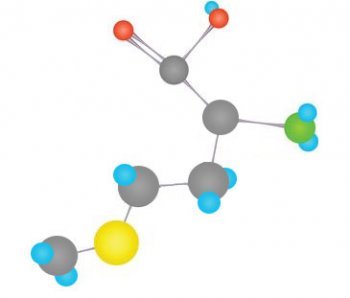 Metiyonin (Methionine)